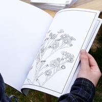 Image 3 of Artist Coloring Book, Nature Themed Artwork, Neurodivergent Friendly