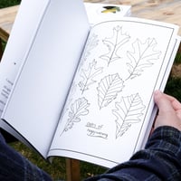 Image 5 of Artist Coloring Book, Nature Themed Artwork, Neurodivergent Friendly