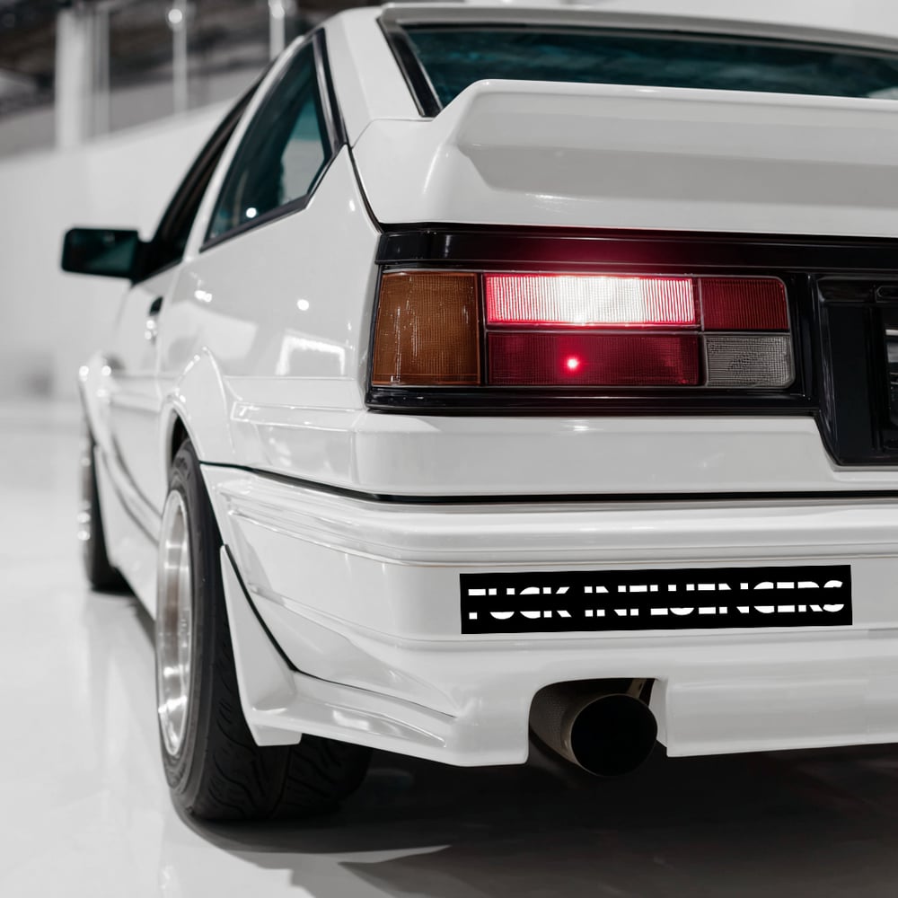 Image of FUCK EM 11"