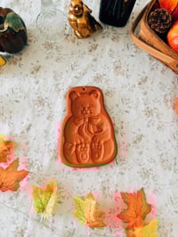 Image 1 of teddy the terra-cotta bear