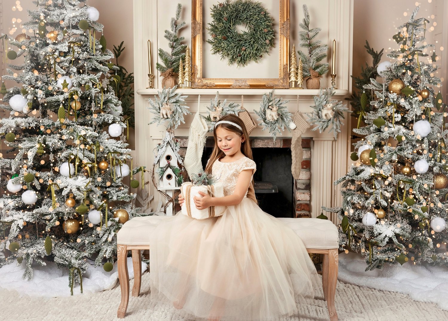 Image of 2025 Christmas Portrait Deposit $247.50