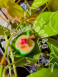 Image 1 of WhimsiApple