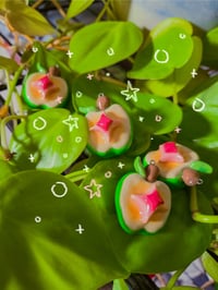 Image 2 of WhimsiApple