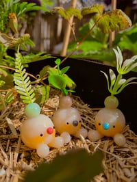 Image 3 of Mystery Plimbo desk sprite