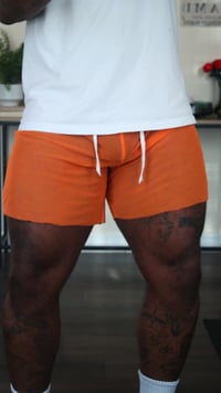 Image 2 of Orange refined transparent shorts 