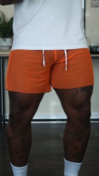 Image 3 of Orange refined transparent shorts 