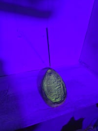 Image 2 of Locust incense holder 1