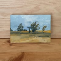 Image 2 of Pt. Isabel Redux