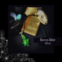 Image 1 of ☽ Quercus Robur ☾