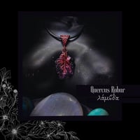 Image 2 of ☽ Quercus Robur ☾