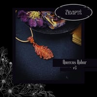Image 10 of ☽ Quercus Robur ☾