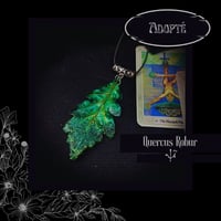Image 16 of ☽ Quercus Robur ☾