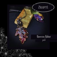 Image 9 of ☽ Quercus Robur ☾