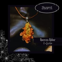 Image 8 of ☽ Quercus Robur ☾