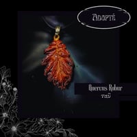 Image 14 of ☽ Quercus Robur ☾