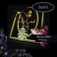 Image 5 of ☽ Quercus Rubra ☾