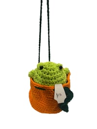 Image 2 of Oliver the Frog in an Orange