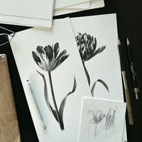 Image 4 of TULIPA CATHARINA