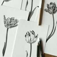 Image 4 of TULIPA JOHANNA