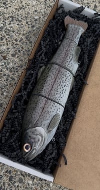 Image 1 of Immortal Trout “Dark Trout”