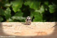 Image 3 of Oak Bead