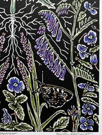 Image 3 of ‘A Midsummer Daydream’ (Colour variant). Limited edition of 20