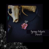Image 1 of ☽ Syringa Vulgaris ☾