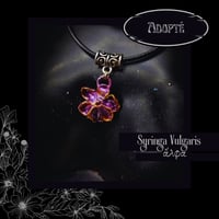 Image 2 of ☽ Syringa Vulgaris ☾