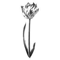 Image 1 of TULIPA MARIJKE