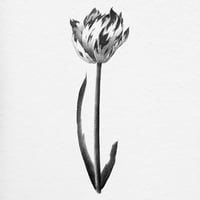 Image 3 of TULIPA MARIJKE