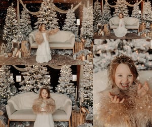 Image of Christmas Magic at the Barn $650