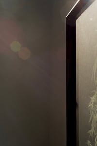 Image 2 of Northern Light