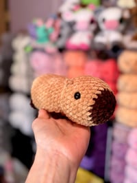 Image 1 of Little Capybara 