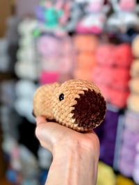 Image 2 of Little Capybara 