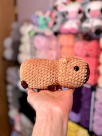 Image 3 of Little Capybara 