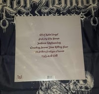 Image 2 of SHINING - Divided You'll Stand and United You'll Fall - LP