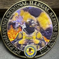 Image 2 of KIDNAPPING ILLEGAL ALIENS SINCE 2003