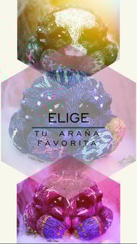 Image 2 of Arañas Arcane