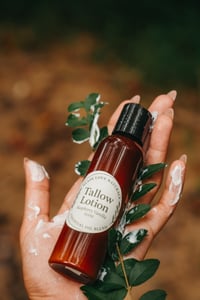 Image 1 of New Product: Tallow Lotion