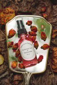 Hyaluronic Acid Serum and Niacinamide