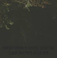 Nächtlich - Reaping Light From The Northstar 7"