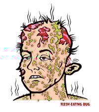 Image 5 of I SURVIVED! mini book