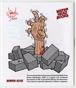 Image of I SURVIVED! mini book