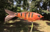 Image 4 of SPEEDBAITS Custom Airbrushed Swimbait MAYAN