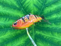 Image 3 of SPEEDBAITS Custom Airbrushed Swimbait MAYAN