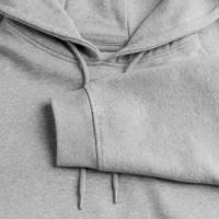 Image 2 of Löwendenkmal Hoodie