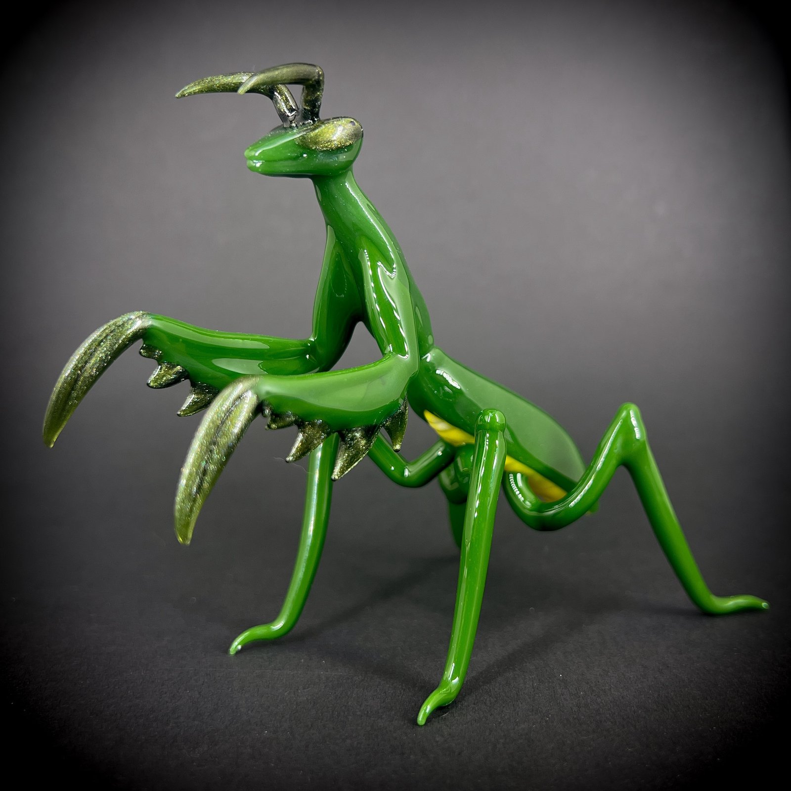 Chinese Praying Mantis L6-L7 – Reptanicals