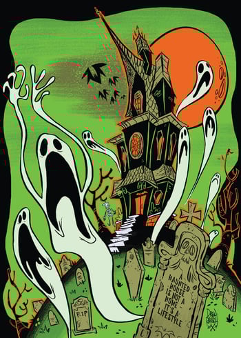 Image of A Haunted House