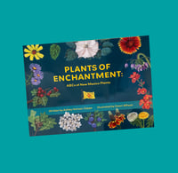 Plants of Enchantment: ABCs in New Mexico Plants
