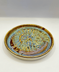 Image 3 of Garlic Grater | Golden Paua Ammonite